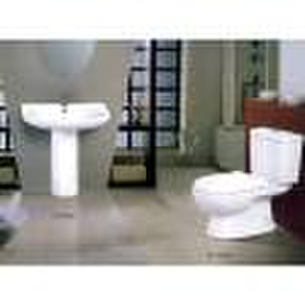 Toilet and Pedestal Basin