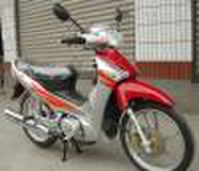 110cc Motorcycle (Cub)