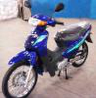 110cc Motorcycle (Cub, SS110)