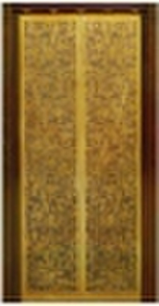 Elevator Door