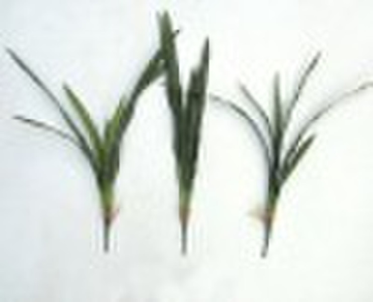 artificial cymbidium leaf -S
