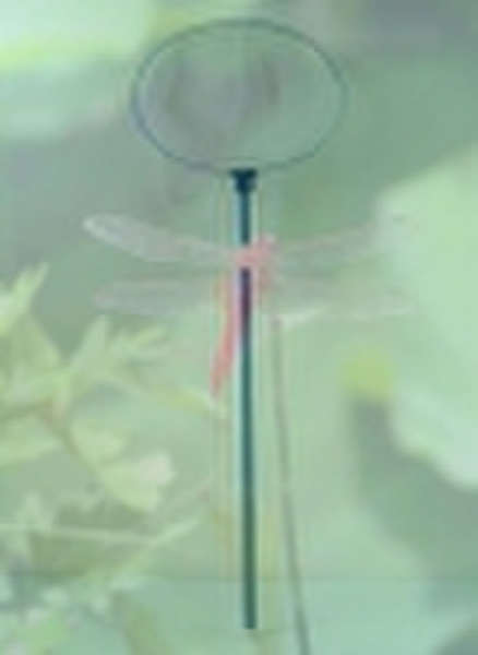 Dragonfly Net