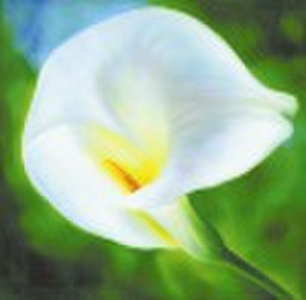 Giclee printing on canvas