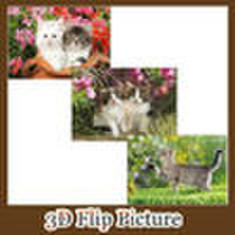 lenticular 3D picture
