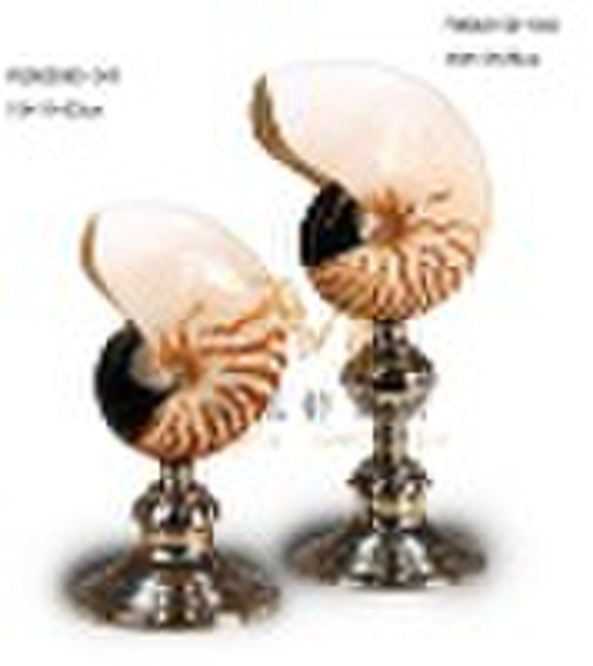 Natural conch with metal standard home decoration