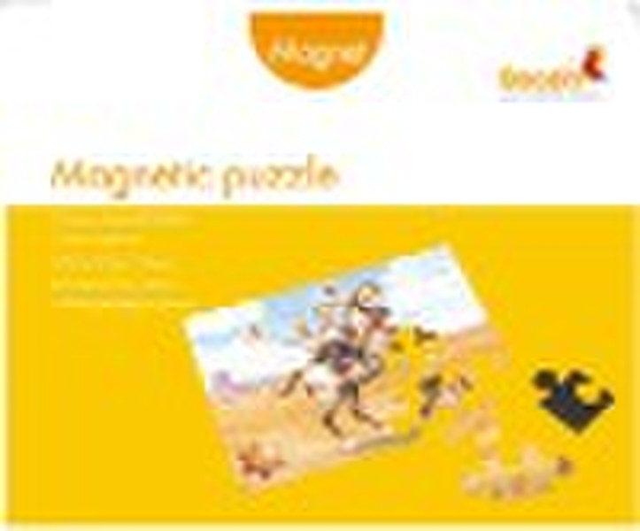 Magnetic puzzle