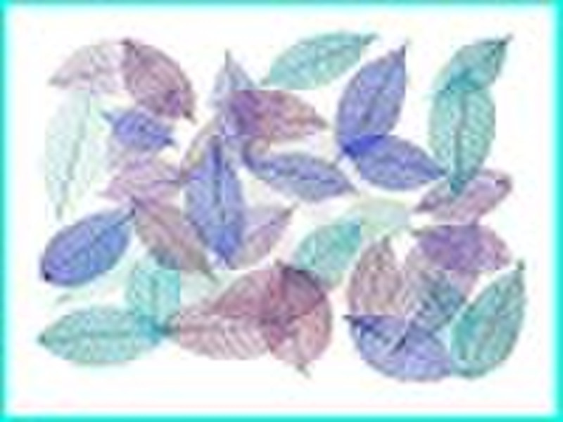 Decorative Apple green Rubber Skeleton Leaves