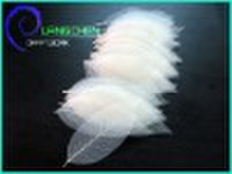 beautiful bookmark magnolia skeleton leaves artifi