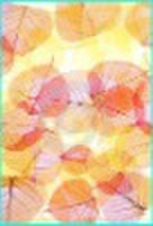 coffee bo skeleton leaves