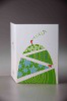 2011 New Greeting  Card