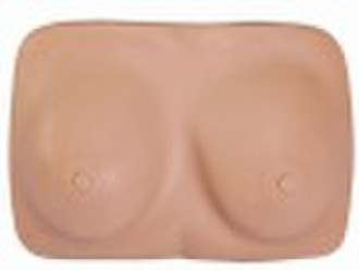 Breast model ( breast examination model)