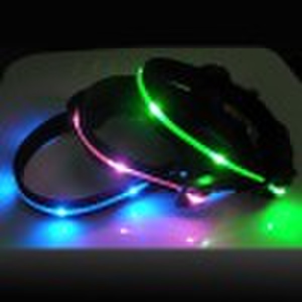 illuminated dog collar