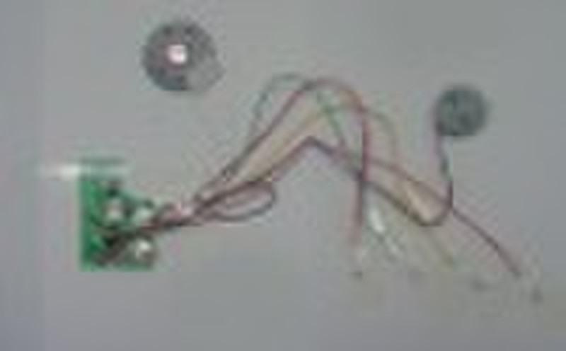 LED Sound Module