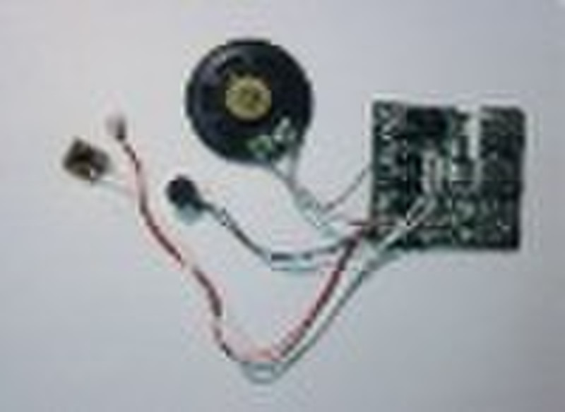 Recordable Sound Module