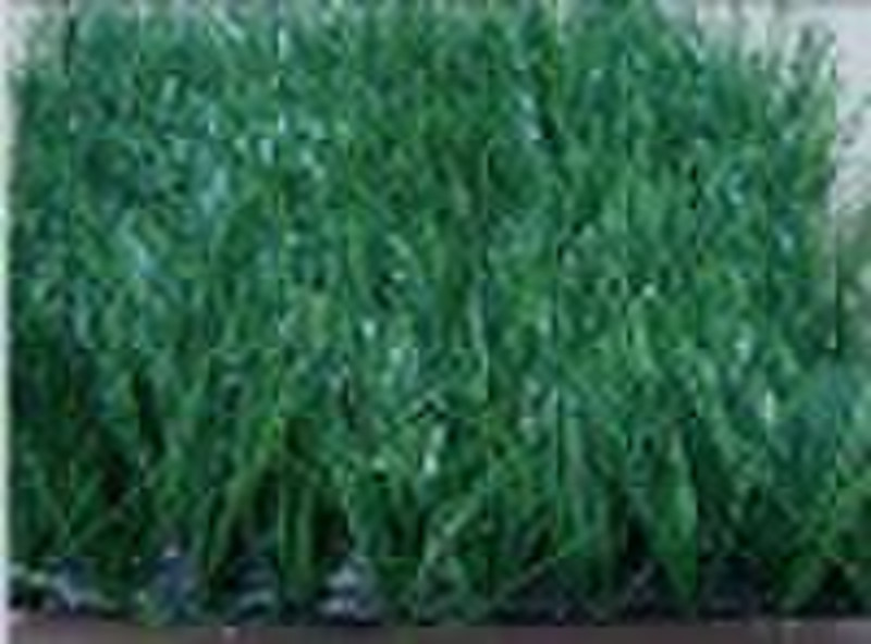 artificial plastic grass