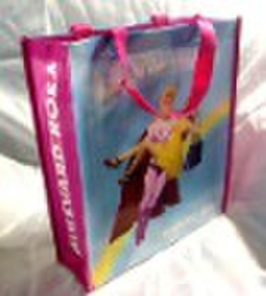 Large reusable pp woven shopping bag