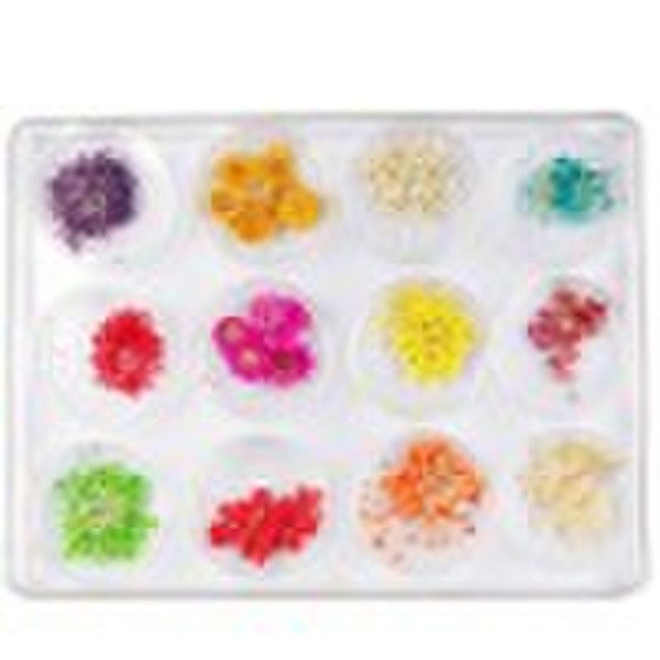 Real Dried Dry Flower For 3D NAIL ART Decoration