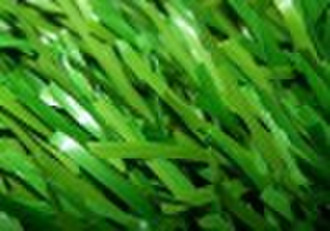CCG Artificial Grass for Sport Stemgrass