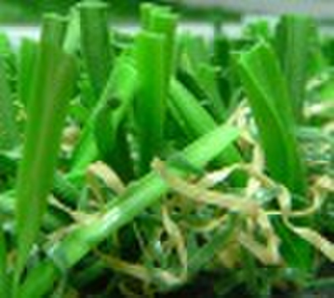 CCG Искусственная трава искусственная Резервное