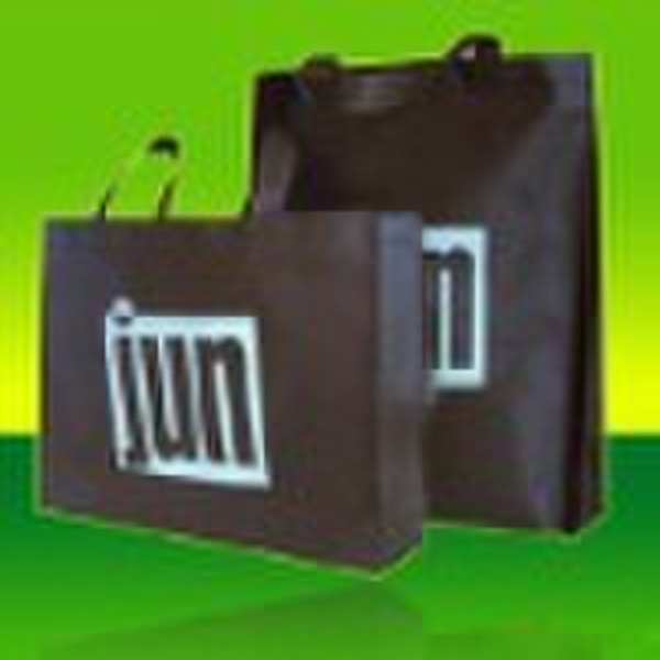 Printed PP gift hand bag (PP shopping bag) (PWB-27