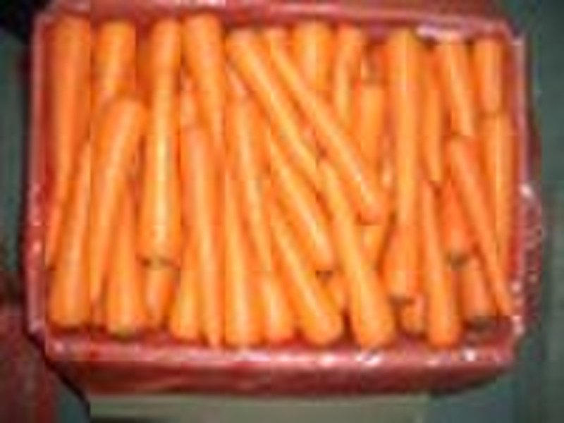 fresh carrot