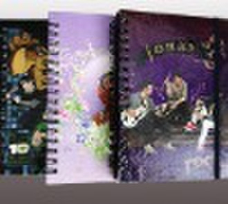 spiral notebook, office notebook