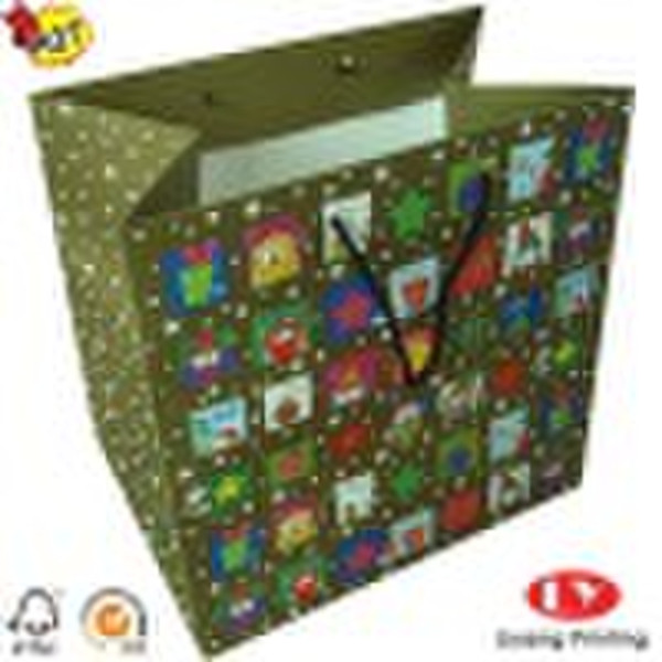 2011 Luxurious Paper shopping bag