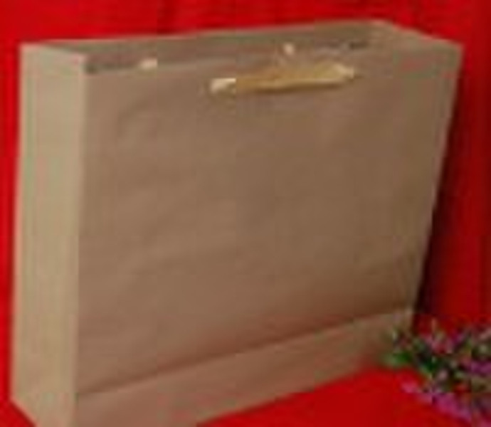 paper bag shopping bag
