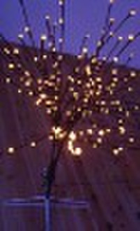 Blume leuchtet Zweig Lichter Baumlichter