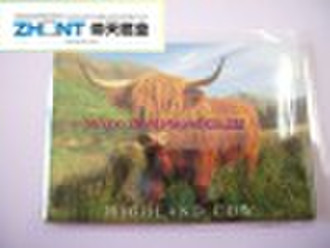 souvenir photo magnets--highland cow