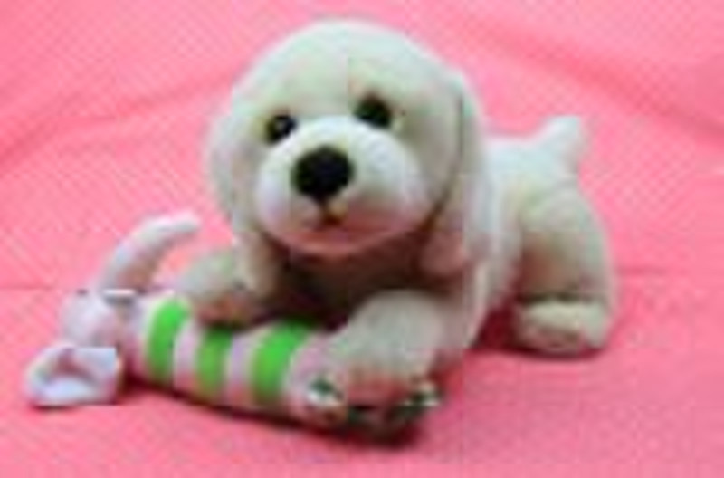 Plush dog  toy