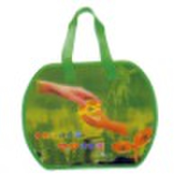 2010 new style PP laminated bag