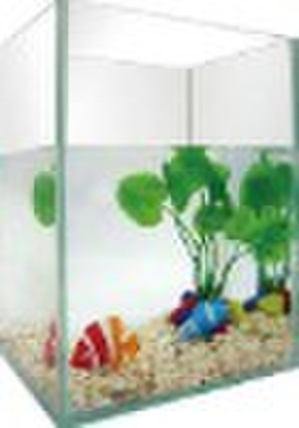 acrylic fish tank