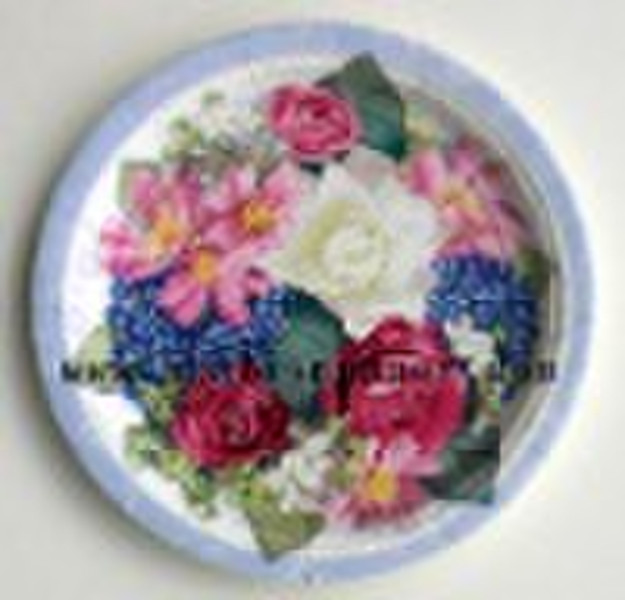 Disposable Party Plate(paper plates,disposable par