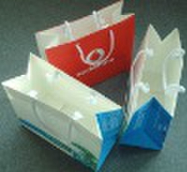 eco-friendly paper bag