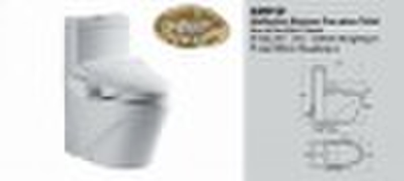 PA091D Modern Toilet