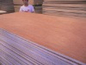 bingtangor plywood