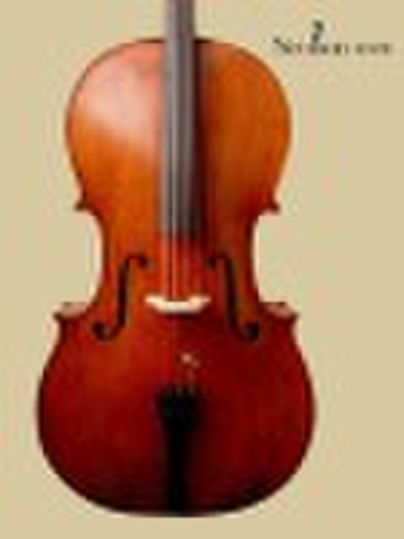 Advanced Meisheng professional cello