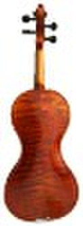 Violine