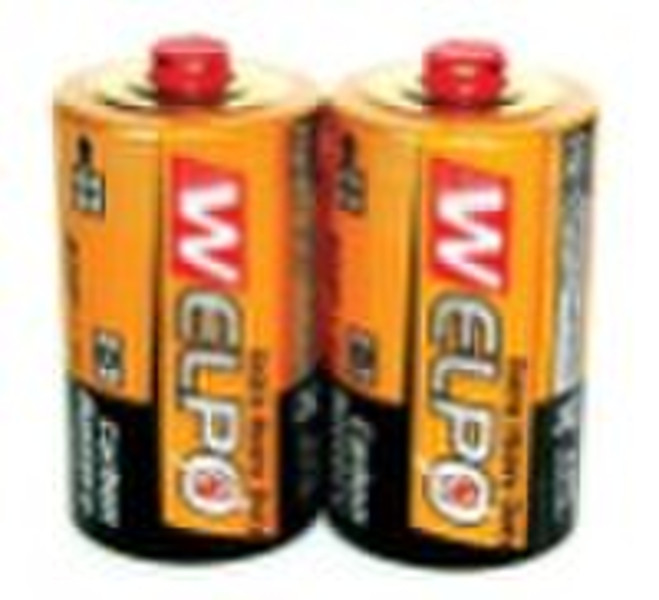 battery  R20