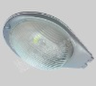 Outdoor LED Light