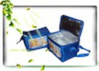 2010 Promotional Cooler Bag (LD-P009)