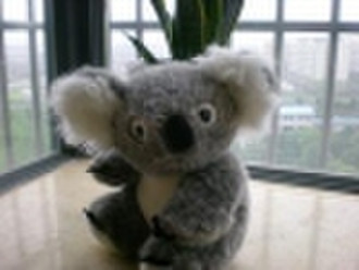 Schöne Koala