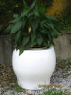 flowerpot   2563