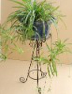 FG014H  plant holder