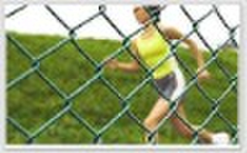 PVC coated chain link fence