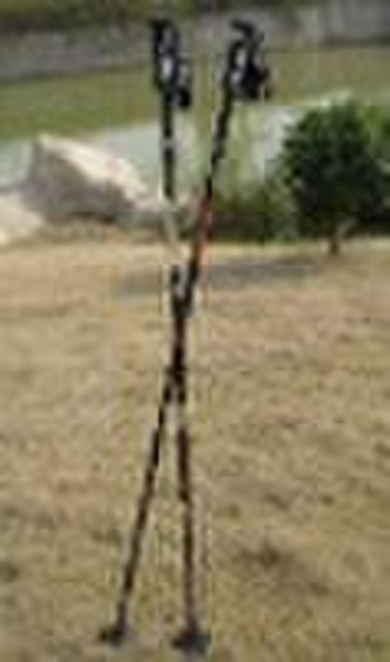 EWP-3001 adjustable Walking Poles