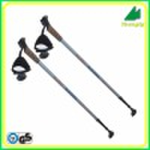 Fashionable Walking Stick (W211)
