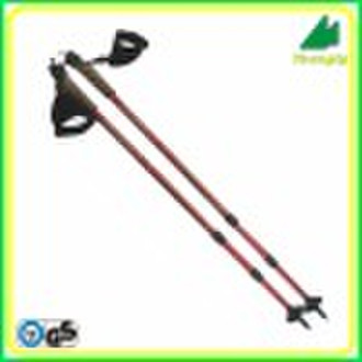 Telescopic Walking Stick (W311-R)