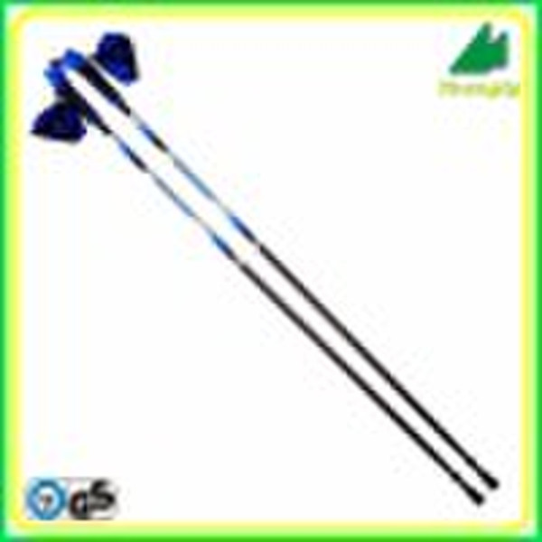 Nordic Walking Stick (W111-1)